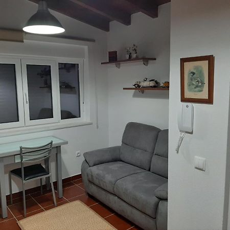 Santiago do CacémAlojamento Ferreira - Apartamento C公寓 外观 照片