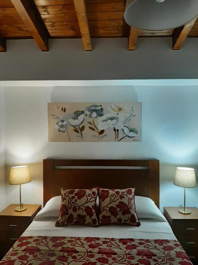 Santiago do CacémAlojamento Ferreira - Apartamento C公寓 外观 照片